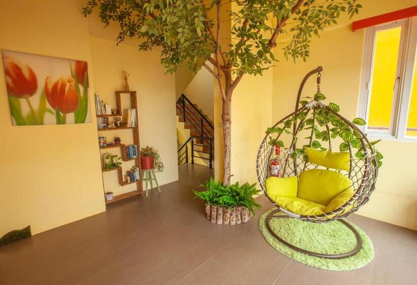 تختخواب و صبحانه Provence Homestay