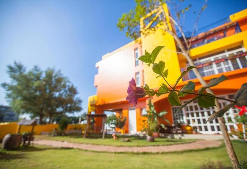 تختخواب و صبحانه Provence Homestay