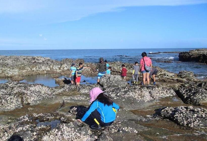 تختخواب و صبحانه Provence Homestay