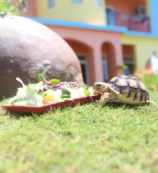 تختخواب و صبحانه Provence Homestay