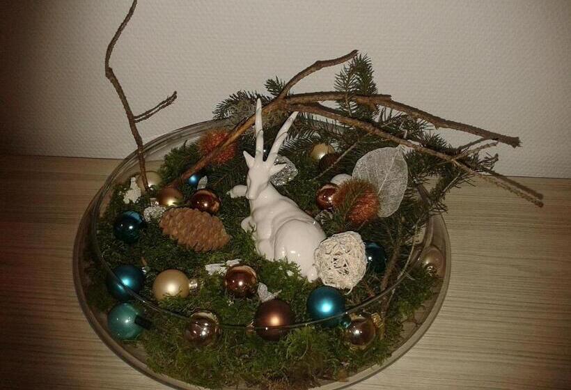 Dzt Schwarzwaldhotel Garni