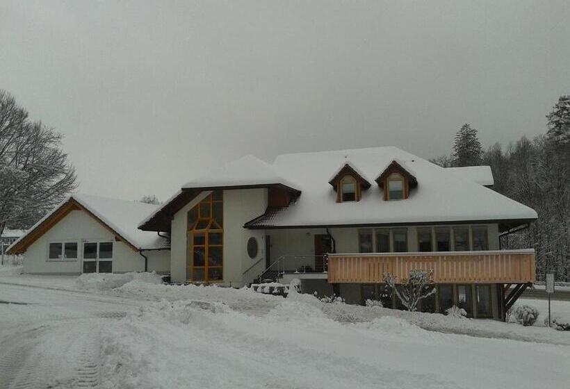 Dzt Schwarzwaldhotel Garni