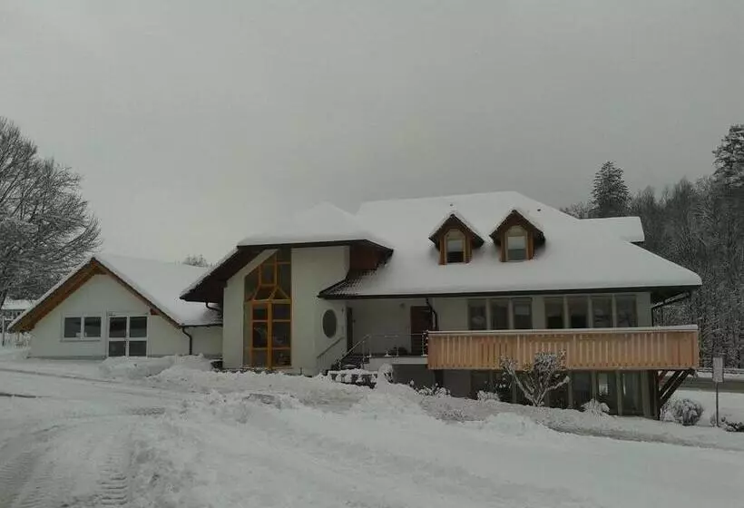 Dzt Schwarzwaldhotel Garni