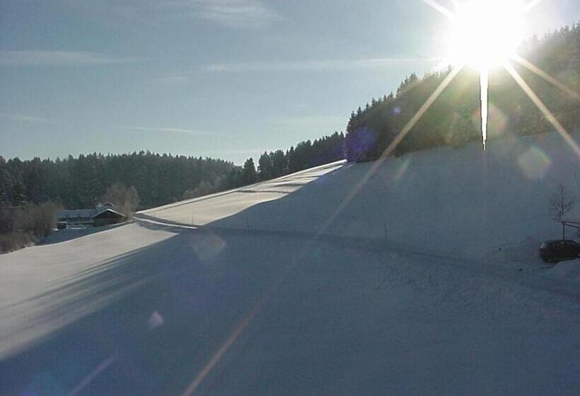 Dzt Schwarzwaldhotel Garni