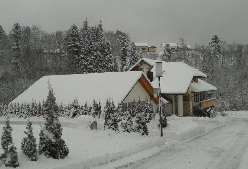 Dzt Schwarzwaldhotel Garni