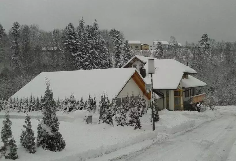 Dzt Schwarzwaldhotel Garni