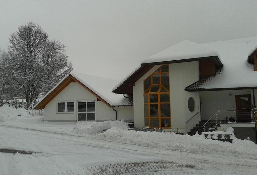 Dzt Schwarzwaldhotel Garni