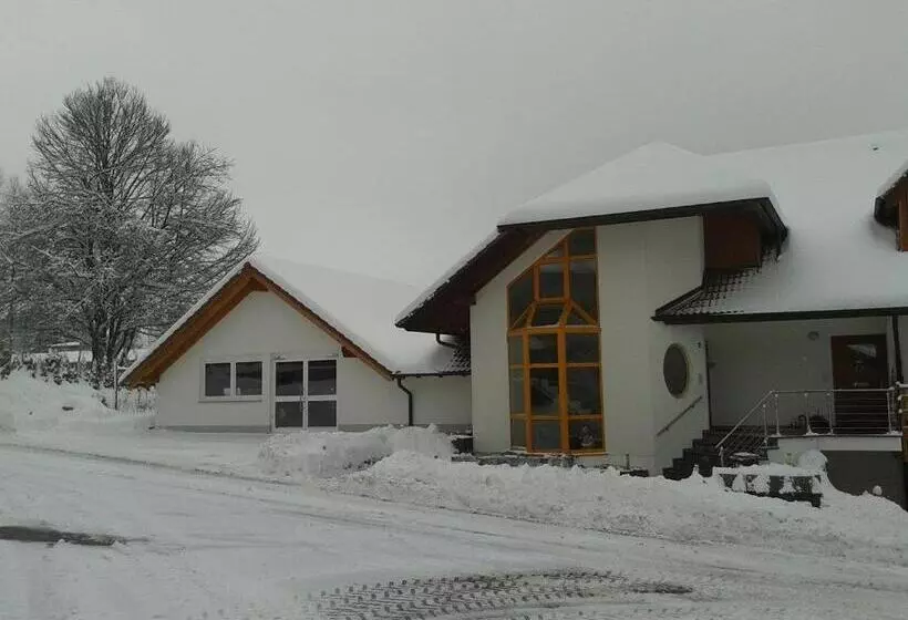 Dzt Schwarzwaldhotel Garni