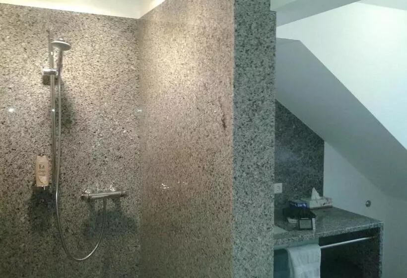 Dzt Schwarzwaldhotel Garni