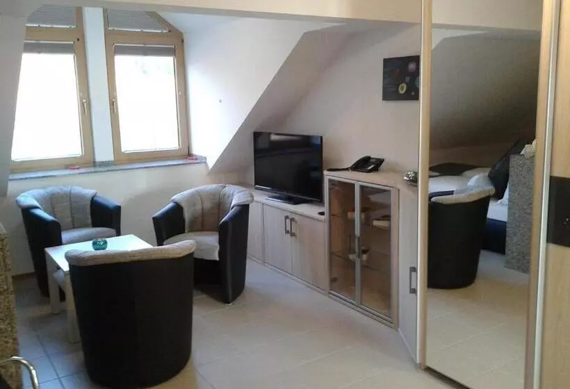 Dzt Schwarzwaldhotel Garni