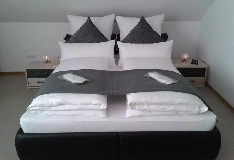 Dzt Schwarzwaldhotel Garni