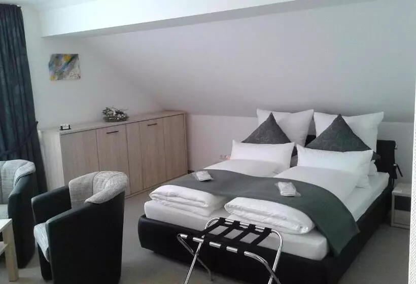Dzt Schwarzwaldhotel Garni