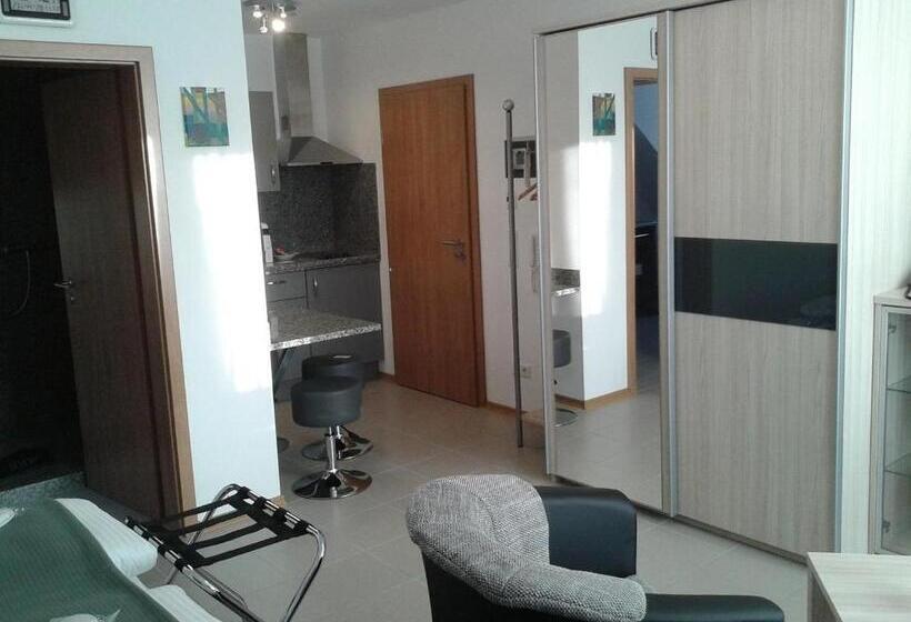 Dzt Schwarzwaldhotel Garni