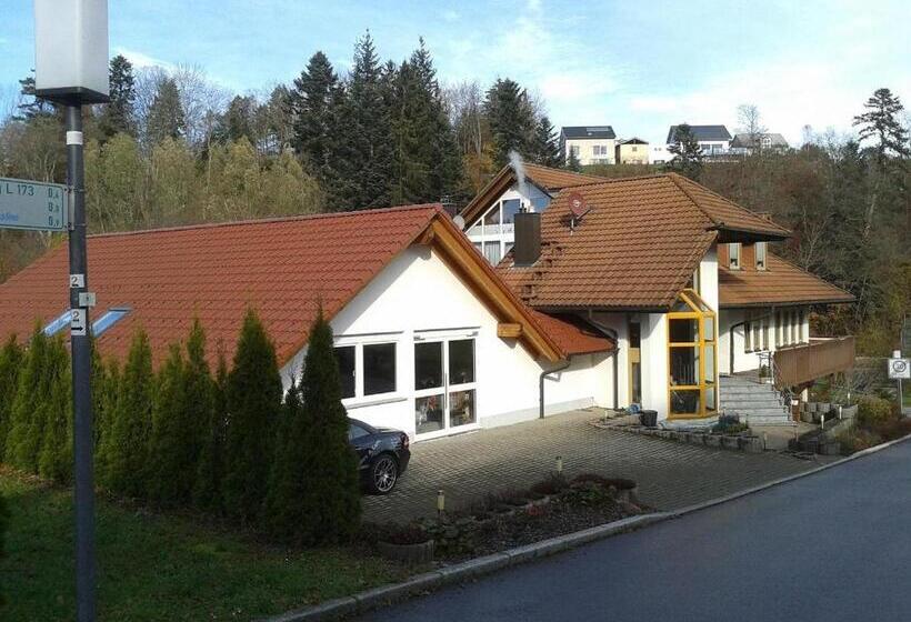 Dzt Schwarzwaldhotel Garni