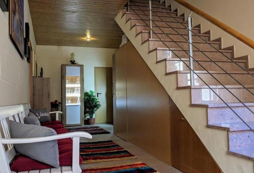 Отель Drostenhof Garni