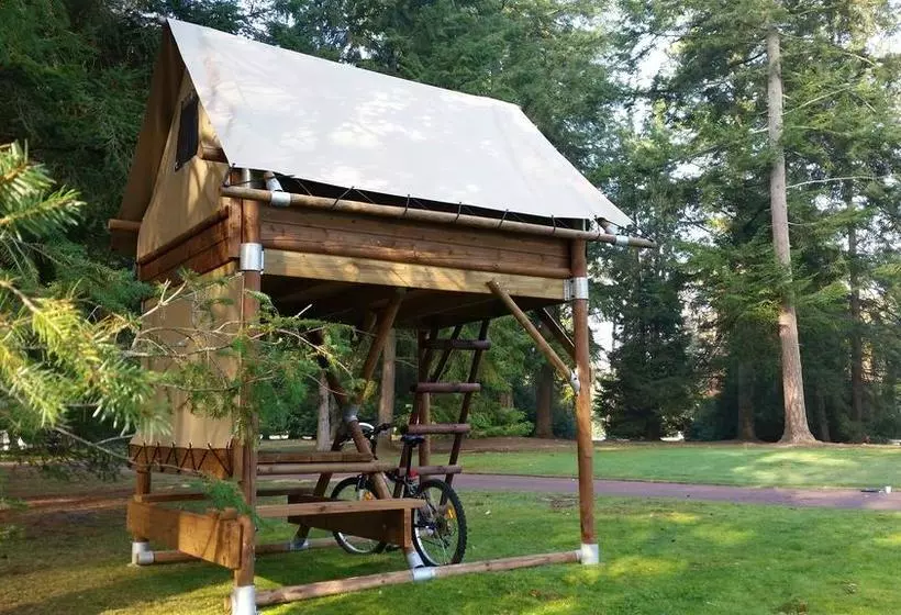 リゾートホテル Azur Waldcamping Auwaldsee