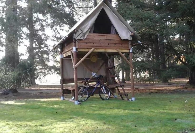 リゾートホテル Azur Waldcamping Auwaldsee