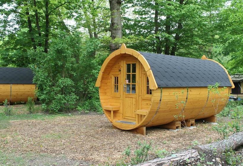 منتجع Azur Waldcamping Auwaldsee