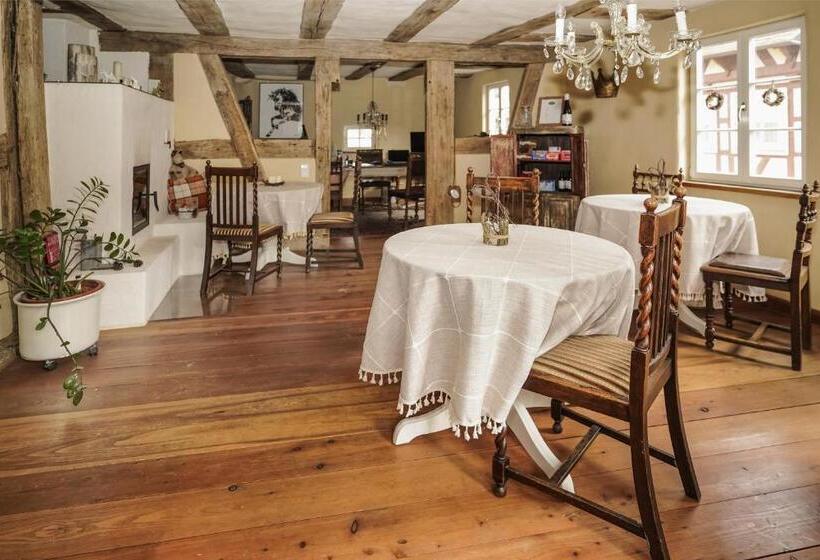 Stevenson House Bed And Breakfast