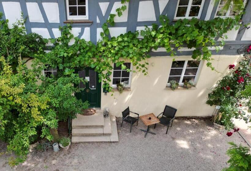 Stevenson House Bed And Breakfast