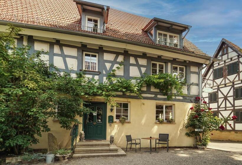 Stevenson House Bed And Breakfast