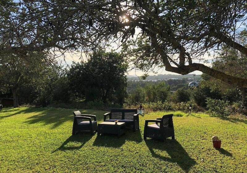 ホテル Agroturismo Can Marquet   Adults Only