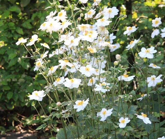 فندق B&b Antares