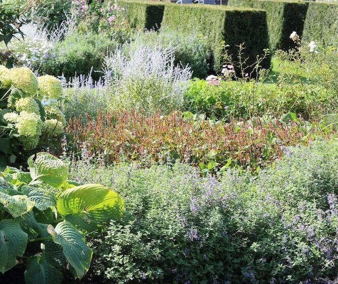 فندق B&b Antares