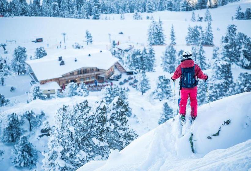 Отель Berggasthof Platzlalm