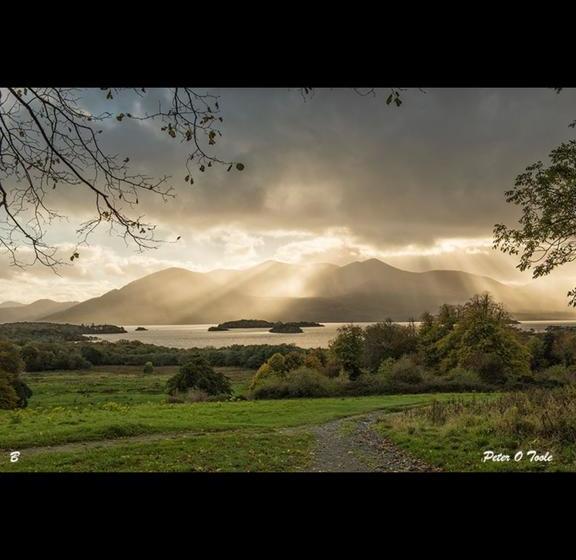 Hotel Cherry Tree Guesthouse