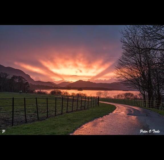 Hotel Cherry Tree Guesthouse