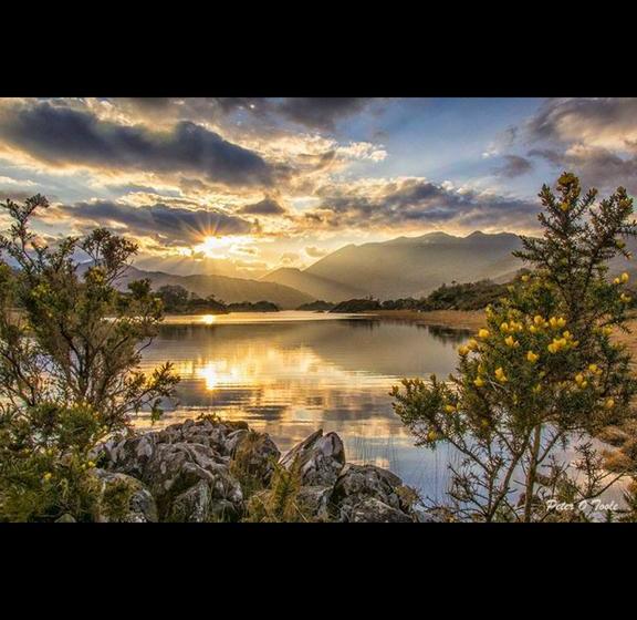 Hotel Cherry Tree Guesthouse