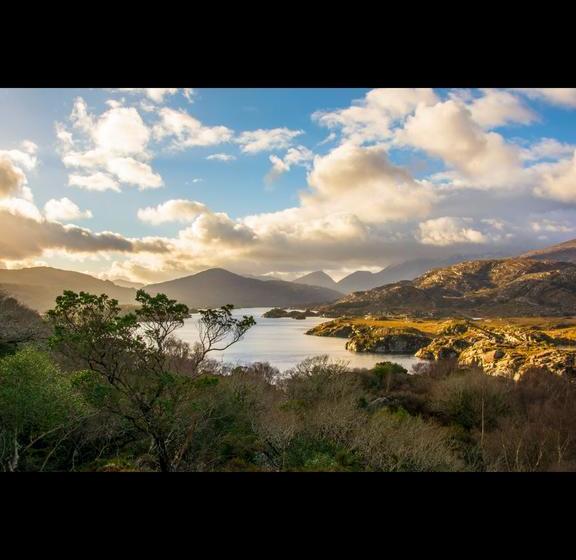 Hotel Cherry Tree Guesthouse