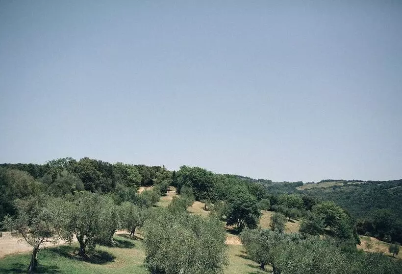 ホテル Wine Resort Conti Di San Bonifacio