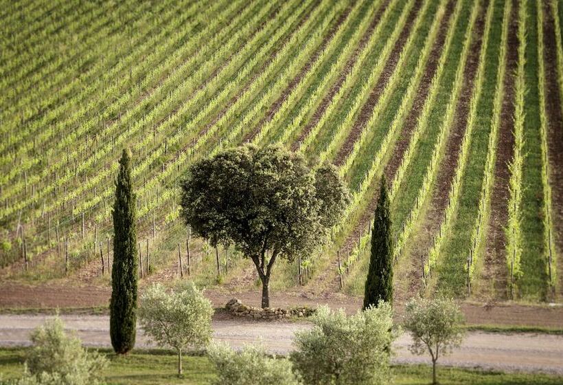 Отель Wine Resort Conti Di San Bonifacio