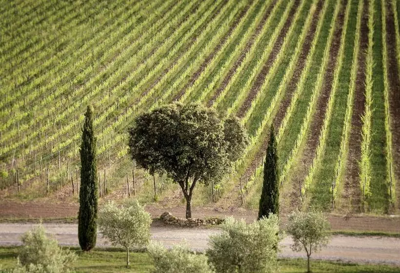 ホテル Wine Resort Conti Di San Bonifacio