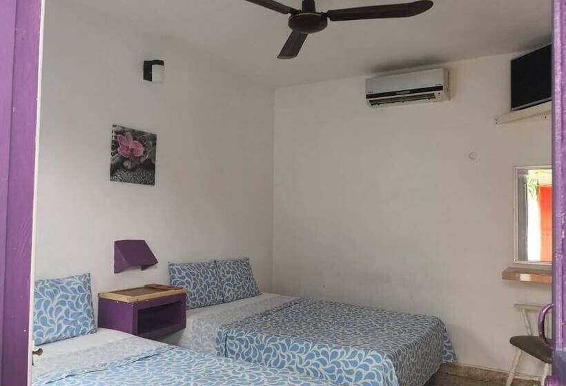 فندق Posada Edem