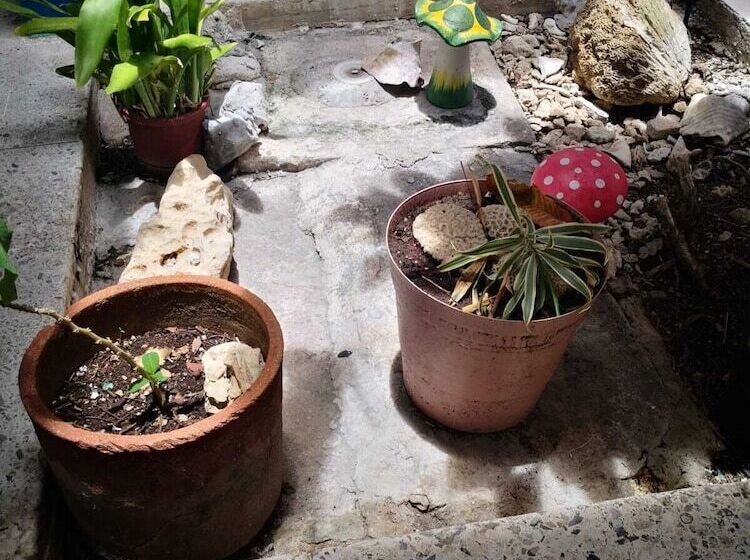 فندق Posada Edem