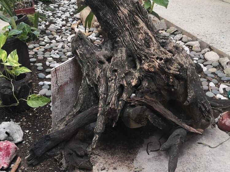 فندق Posada Edem