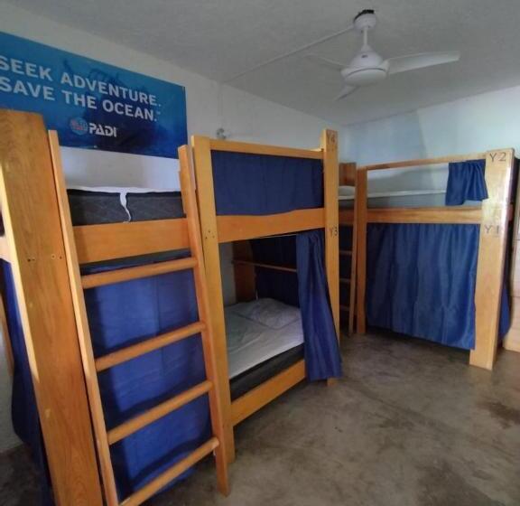 فندق Posada Edem