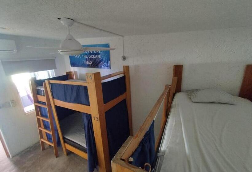 فندق Posada Edem