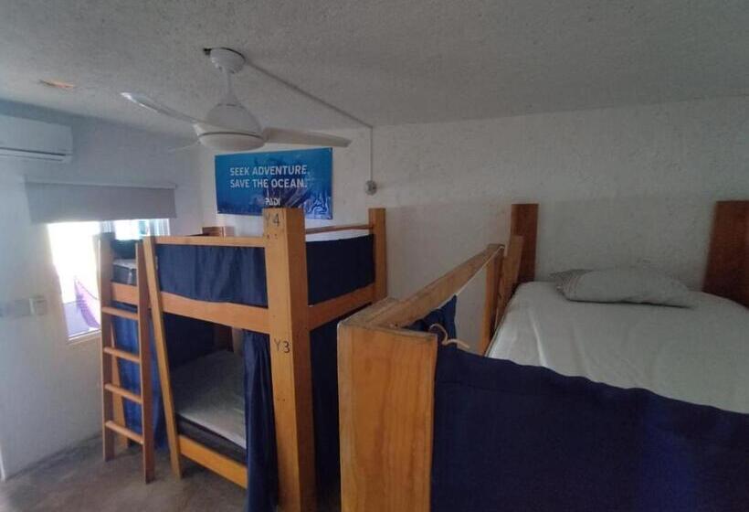 فندق Posada Edem