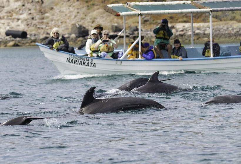 酒店 Posada Luna Sol