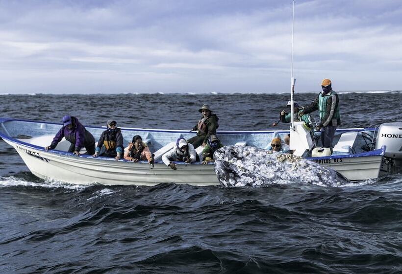 酒店 Posada Luna Sol