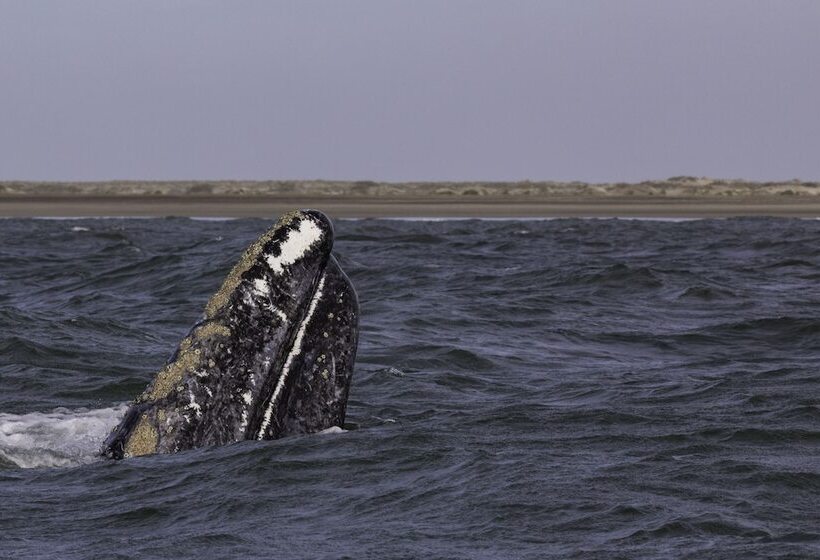 酒店 Posada Luna Sol