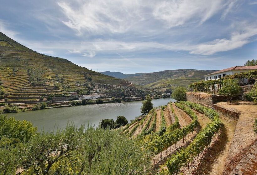 فندق Quinta De La Rosa