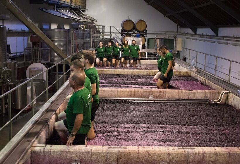 فندق Quinta De La Rosa