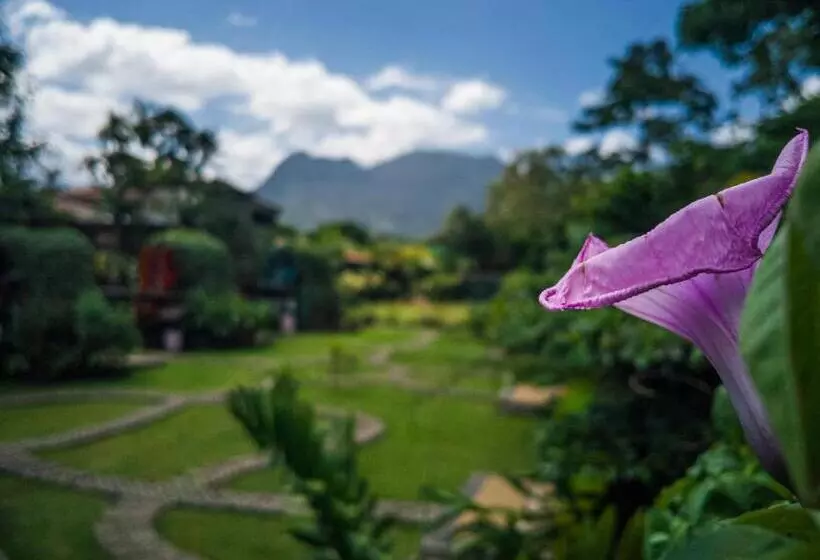 Retkeilymaja Arenal Backpackers Resort
