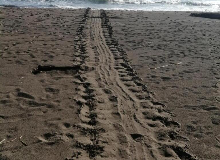 هاستل Hospedaje Meryscar