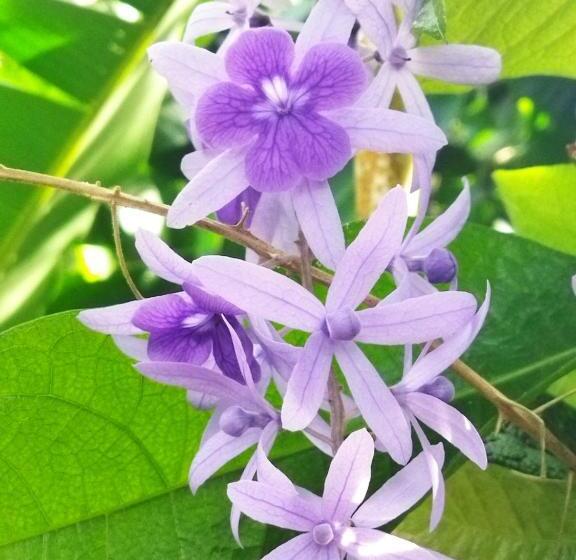 هاستل Hospedaje Meryscar